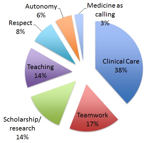 <strong>Figure 3.</strong> Themes reported as sustaining a sense of meaning in professional work (Data derived from Anandarajah et al, 2018)